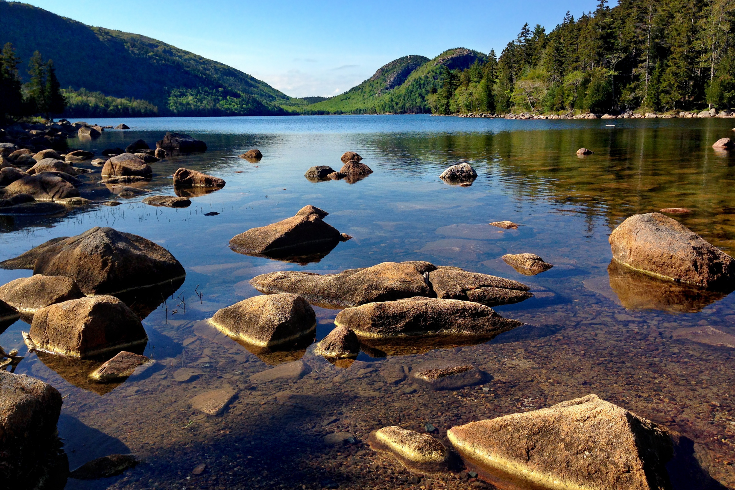acadia national park, maine (4).webp
